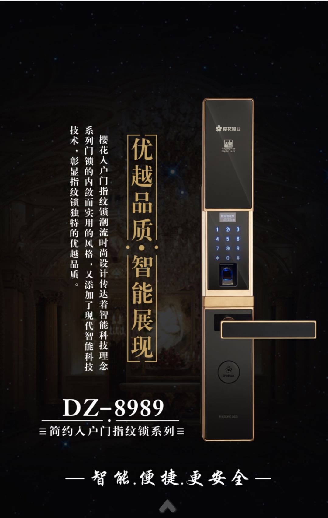 ӣ  DZ-8989